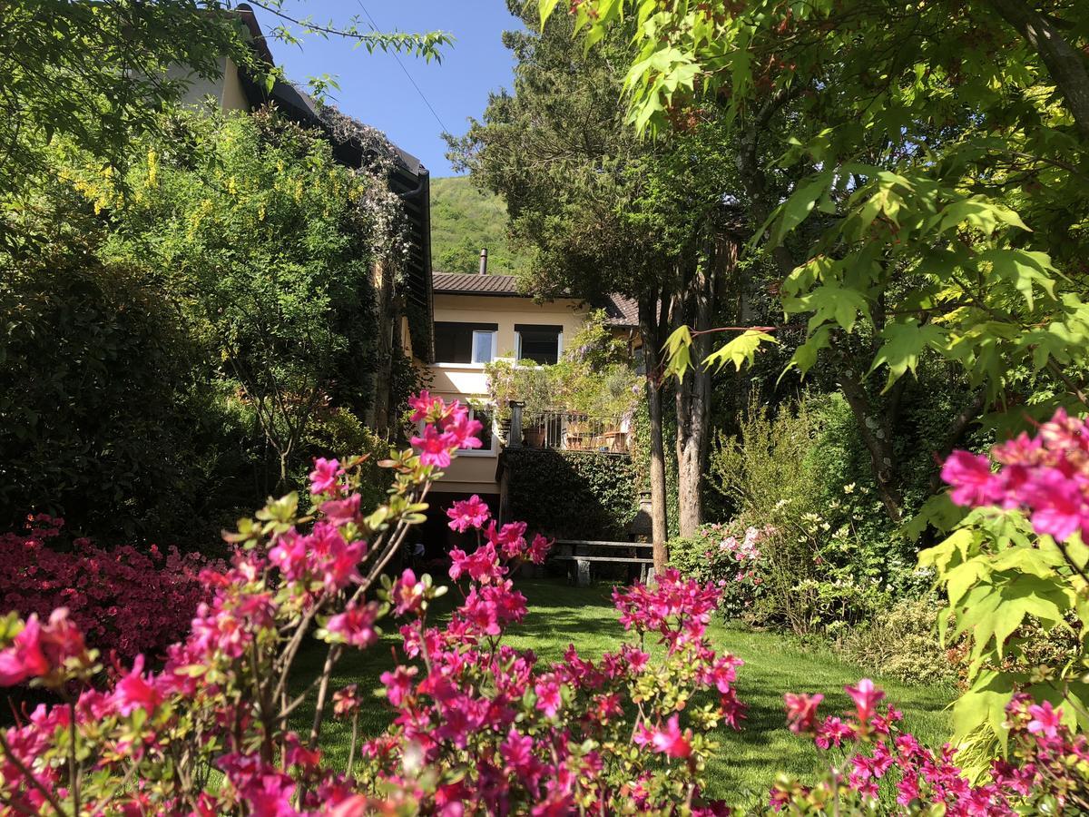 Chez Marianne "Chambres D'Hotes" Astano エクステリア 写真